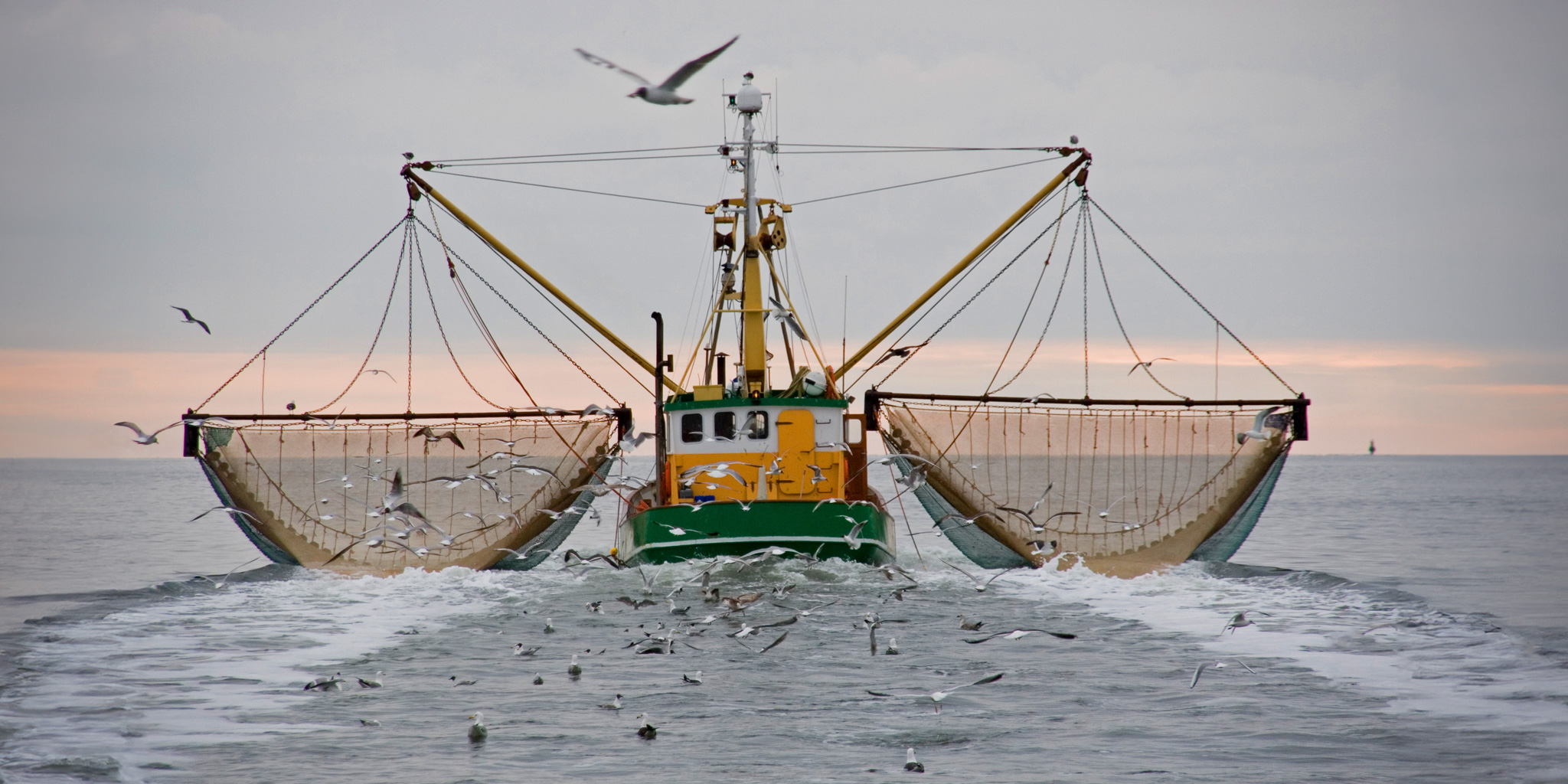 Fischkutter beim Fischfang
