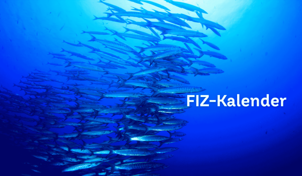 Ein Fischschwarm unter Wasser beäugt neugierig den Text „FIZ & Freunde Wissen+“, der ins Bild einmontiert ist