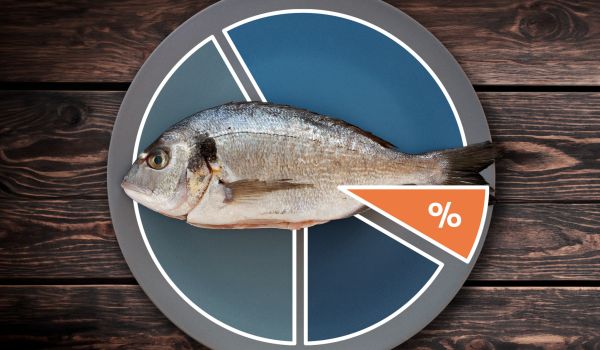 ein Teller mit einem Fisch, von oben fotografiert, ein Tortendiagramm ist darüberglegt
